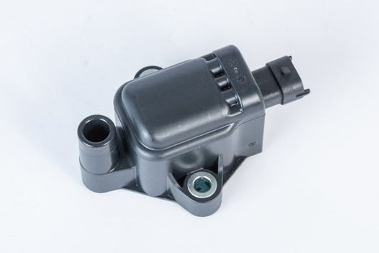 BorgWarner ZS593 KTM HUSQVARNA 250 125 ENDURO Ateşleme Bobini görseli